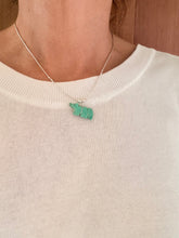Load image into Gallery viewer, Native American necklace 2026