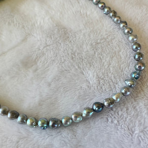N Tiny Akoya necklace