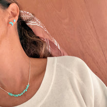 Load image into Gallery viewer, Native american earring 2026