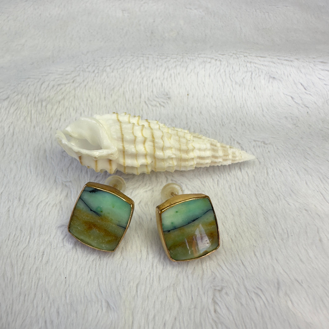 E studs opalized wood